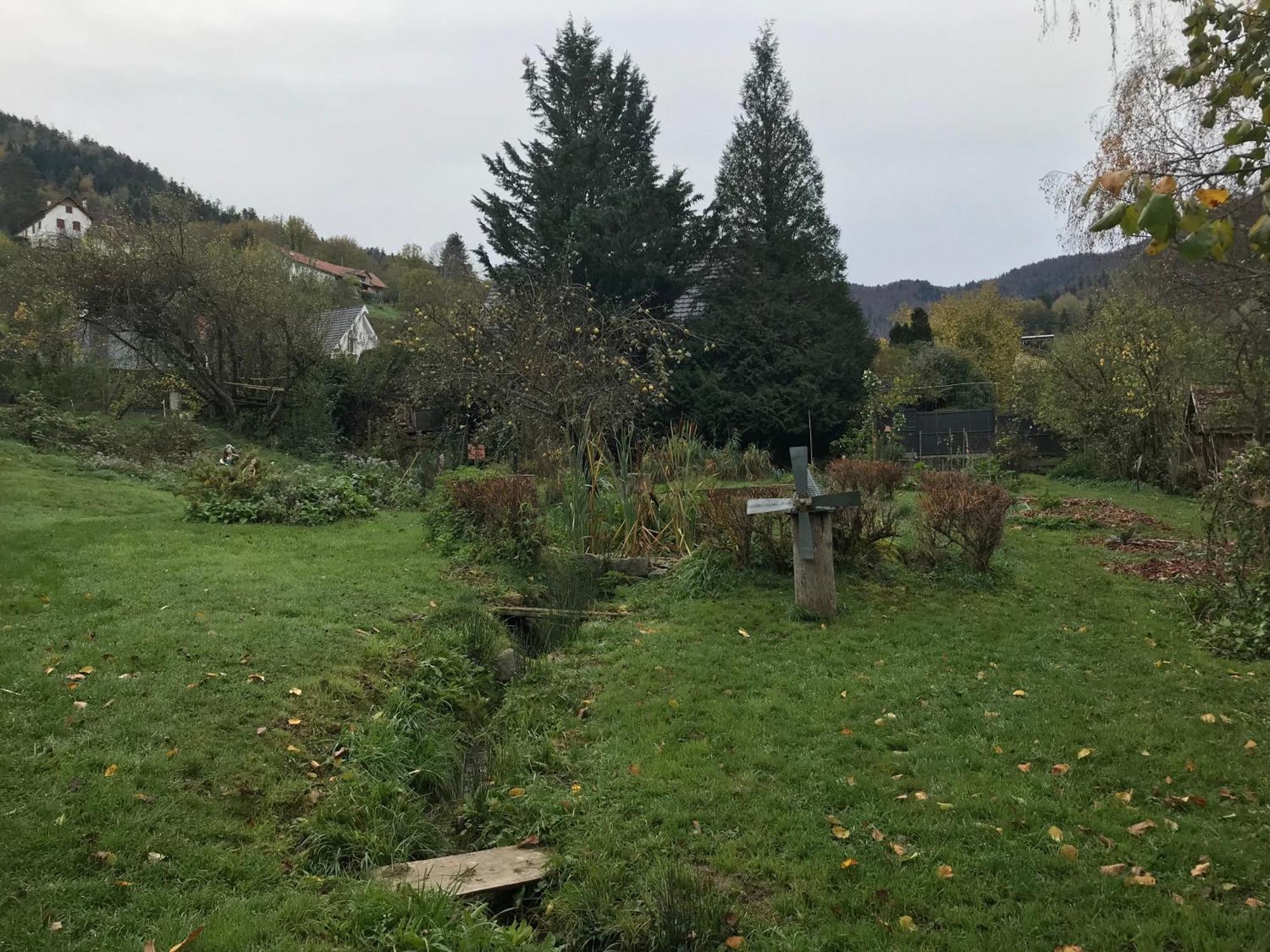 Gite Monts Et Merveilles Mollau Buitenkant foto